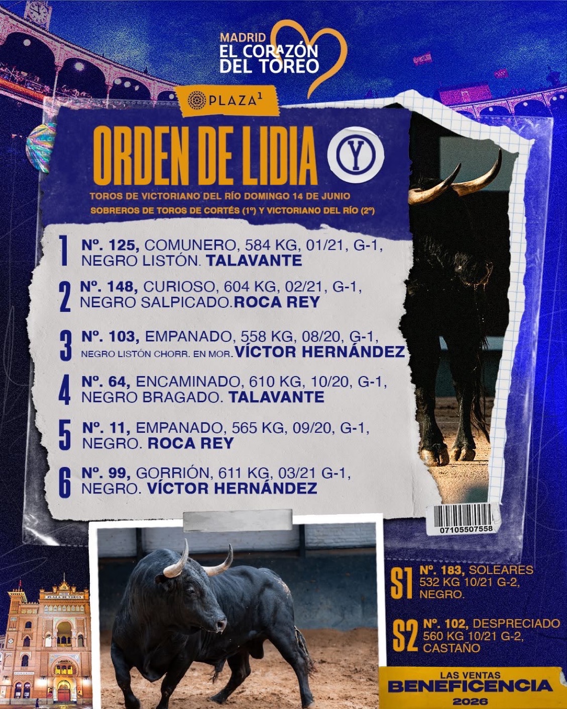 Imagen 1