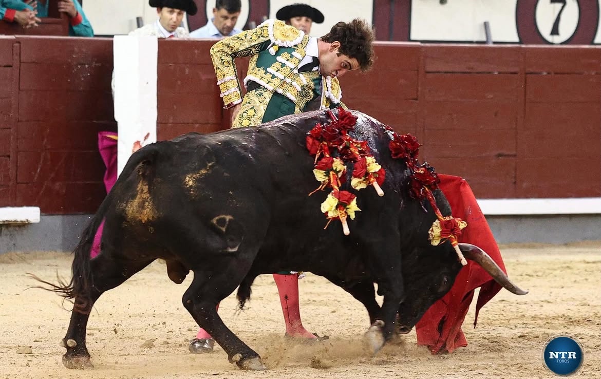Imagen 1