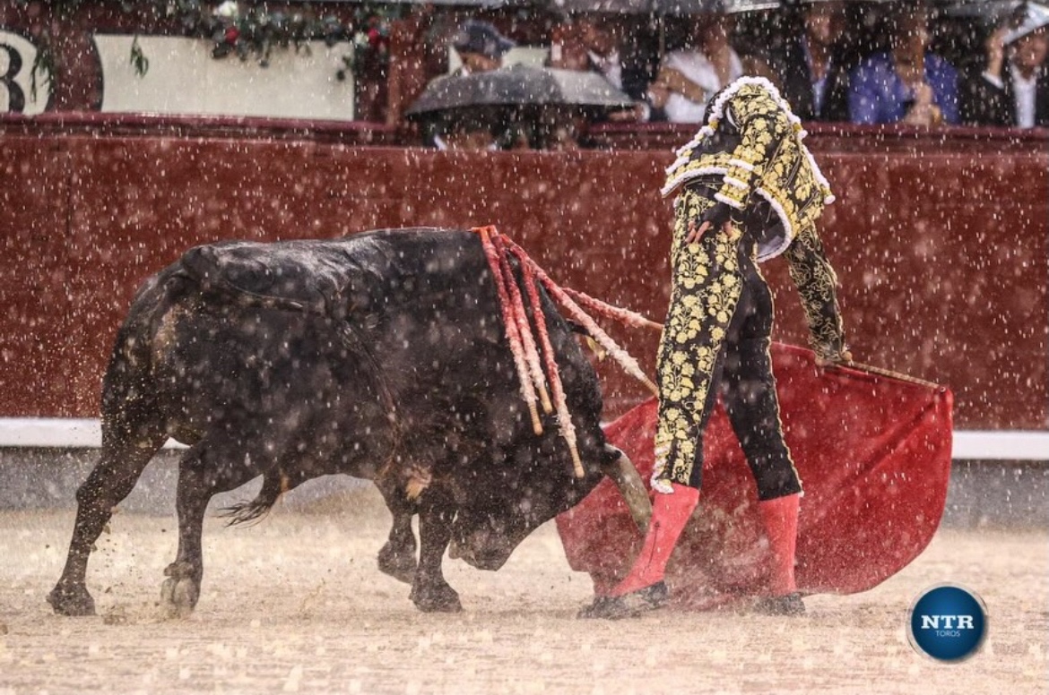 Imagen 2