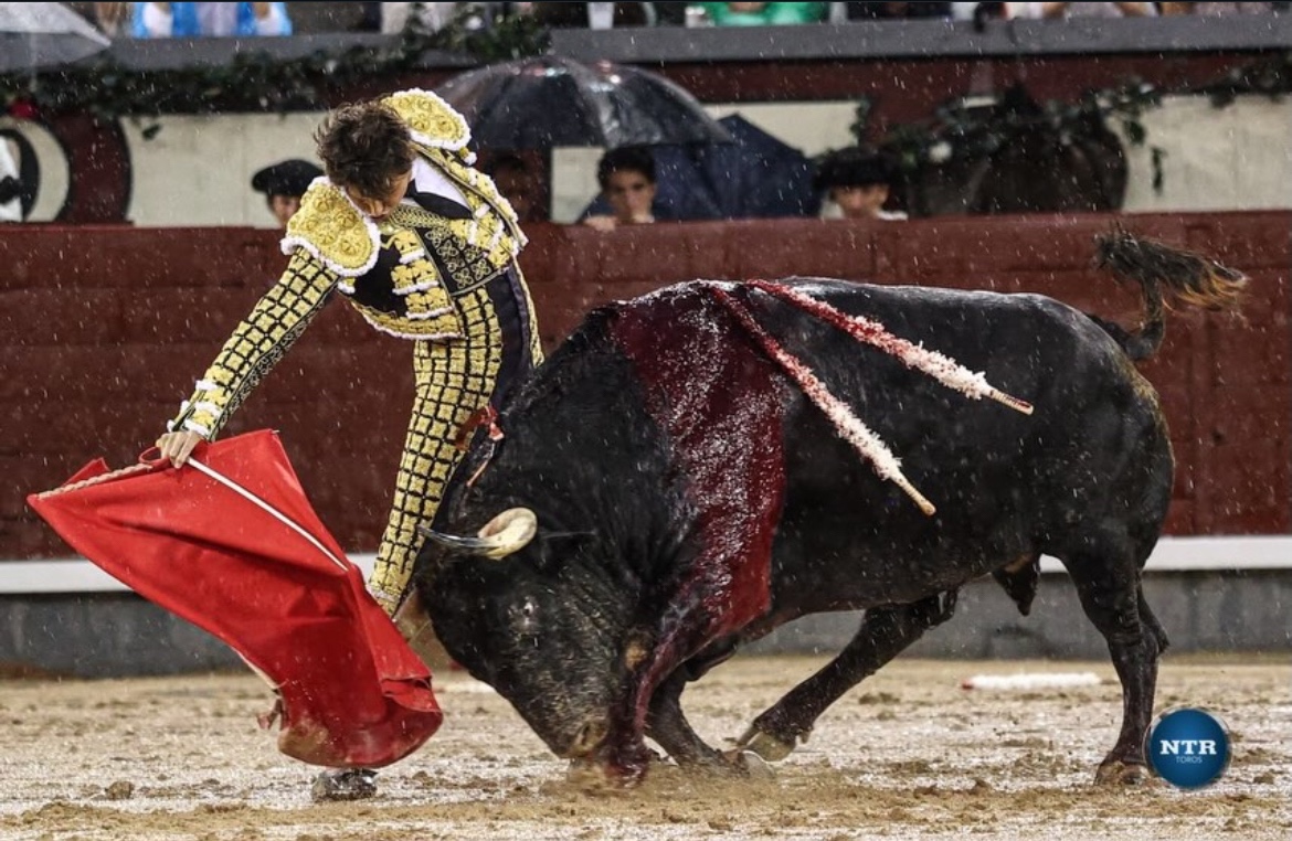 Imagen 3