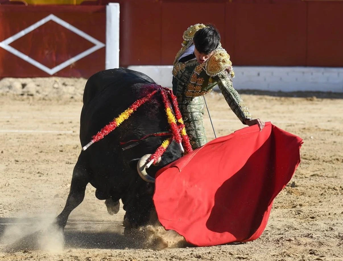 Imagen 2