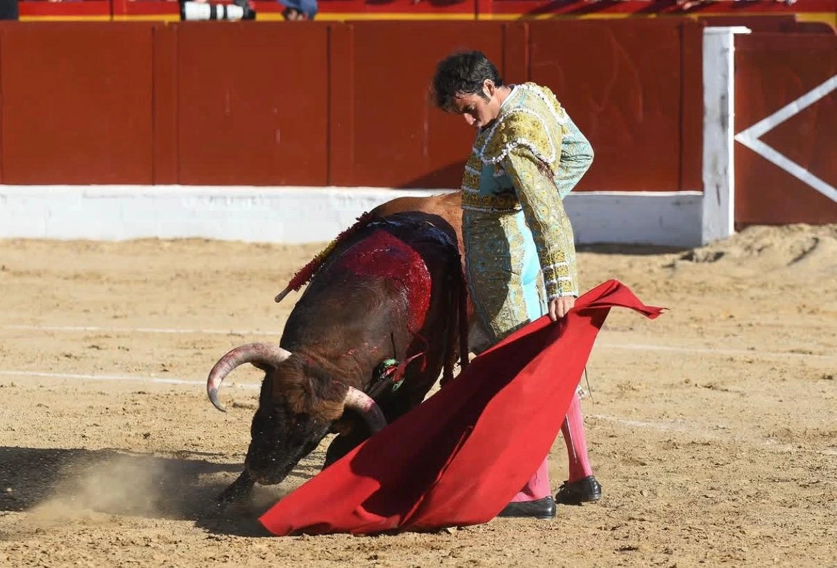Imagen 5