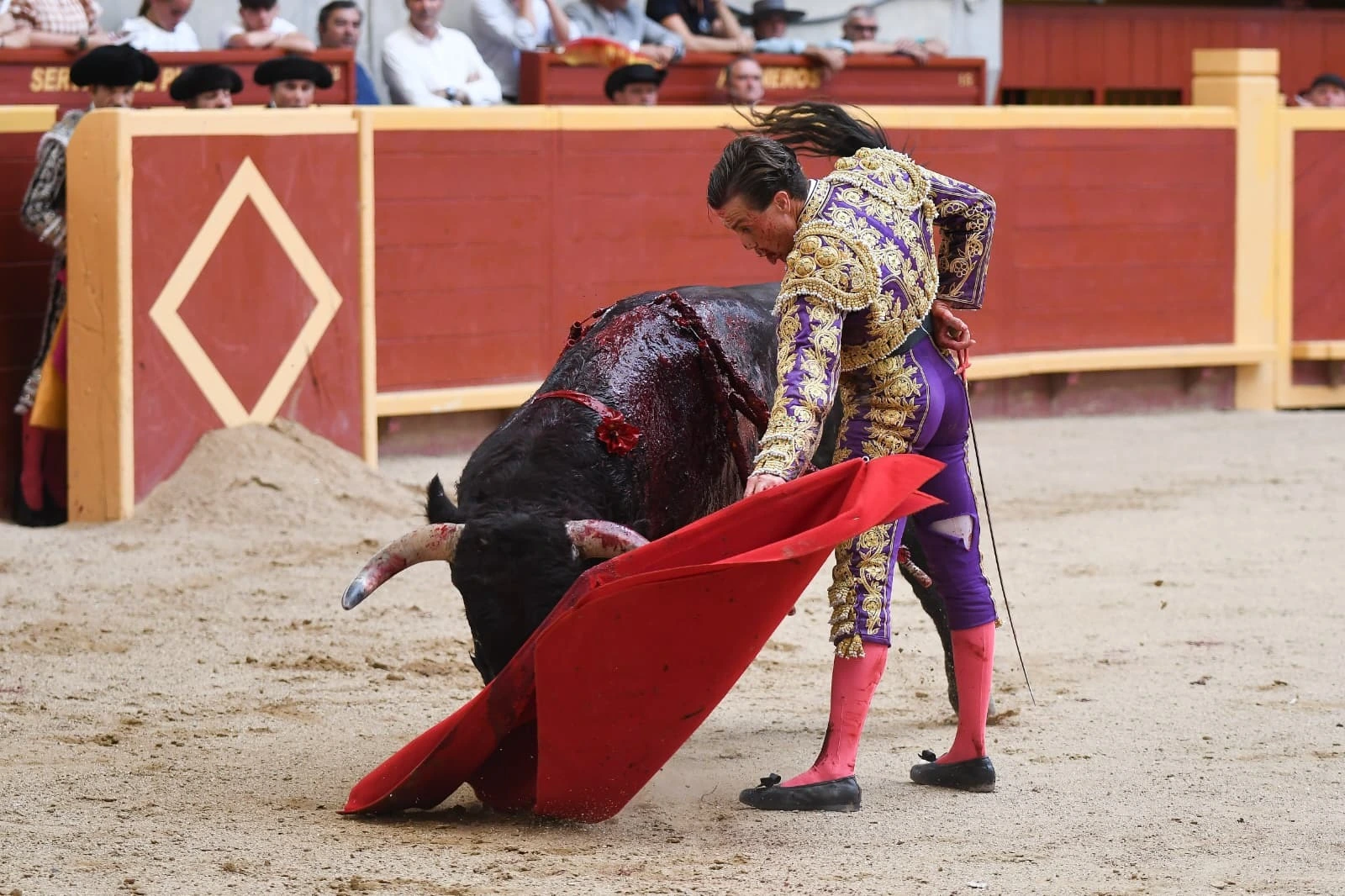 Imagen 1