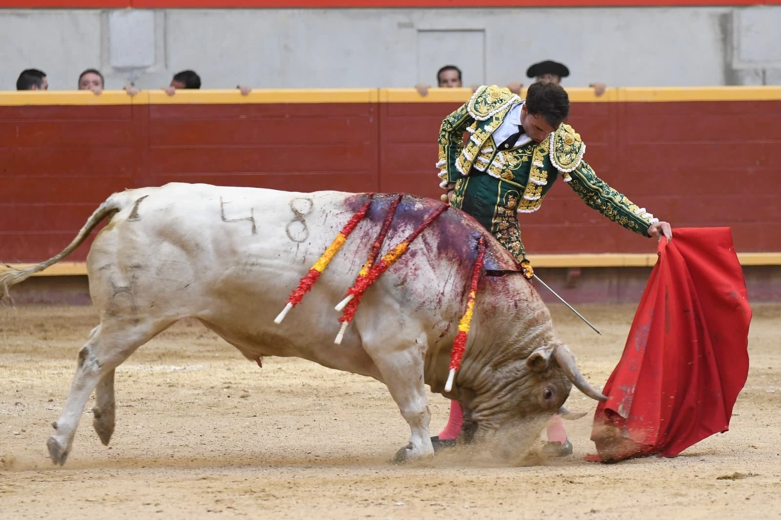 Imagen 5