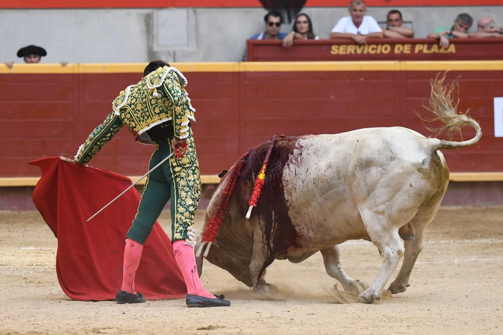 Imagen 6