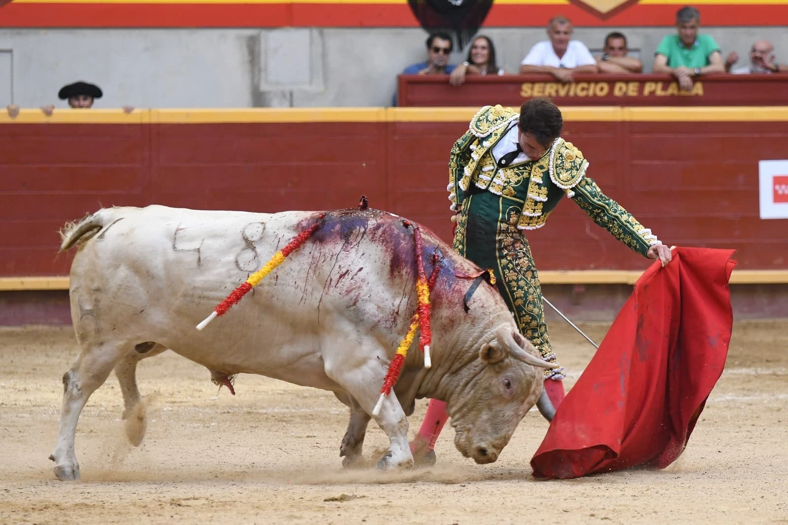 Imagen 7