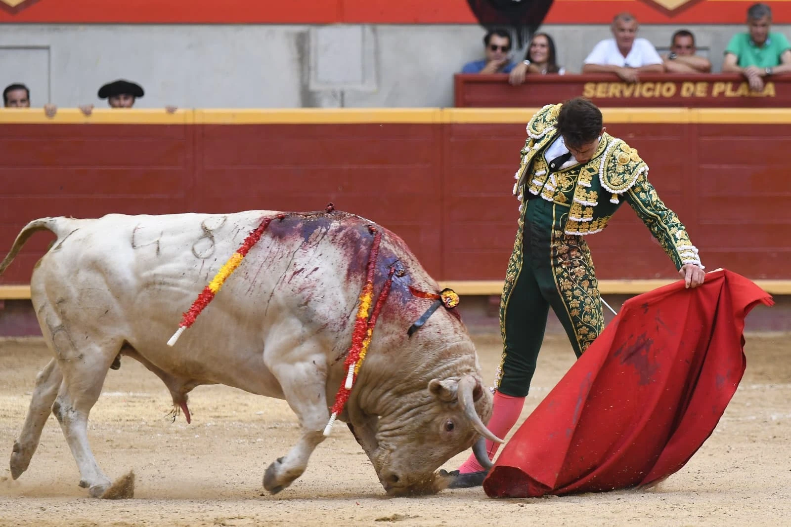 Imagen 8