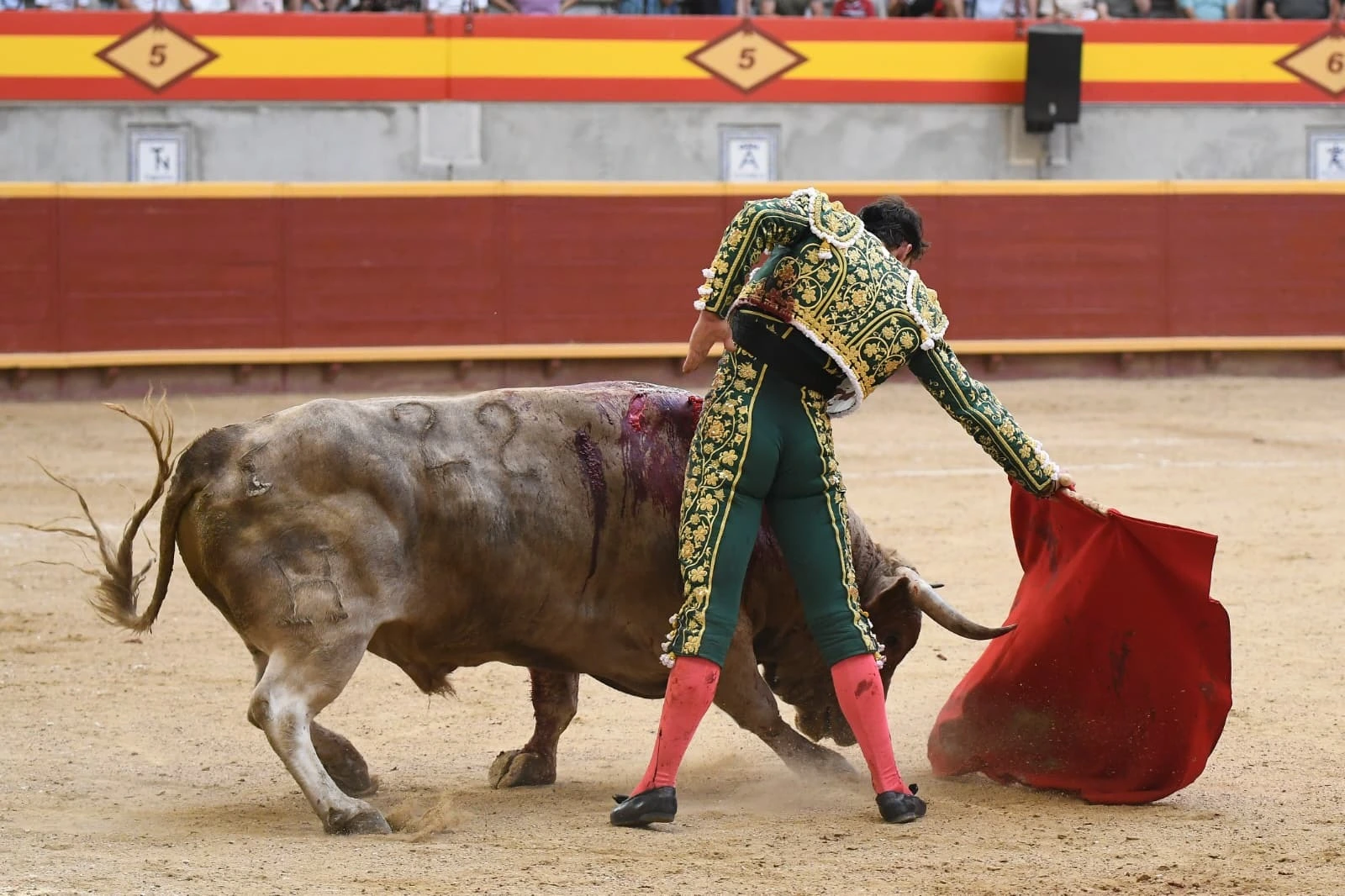 Imagen 10