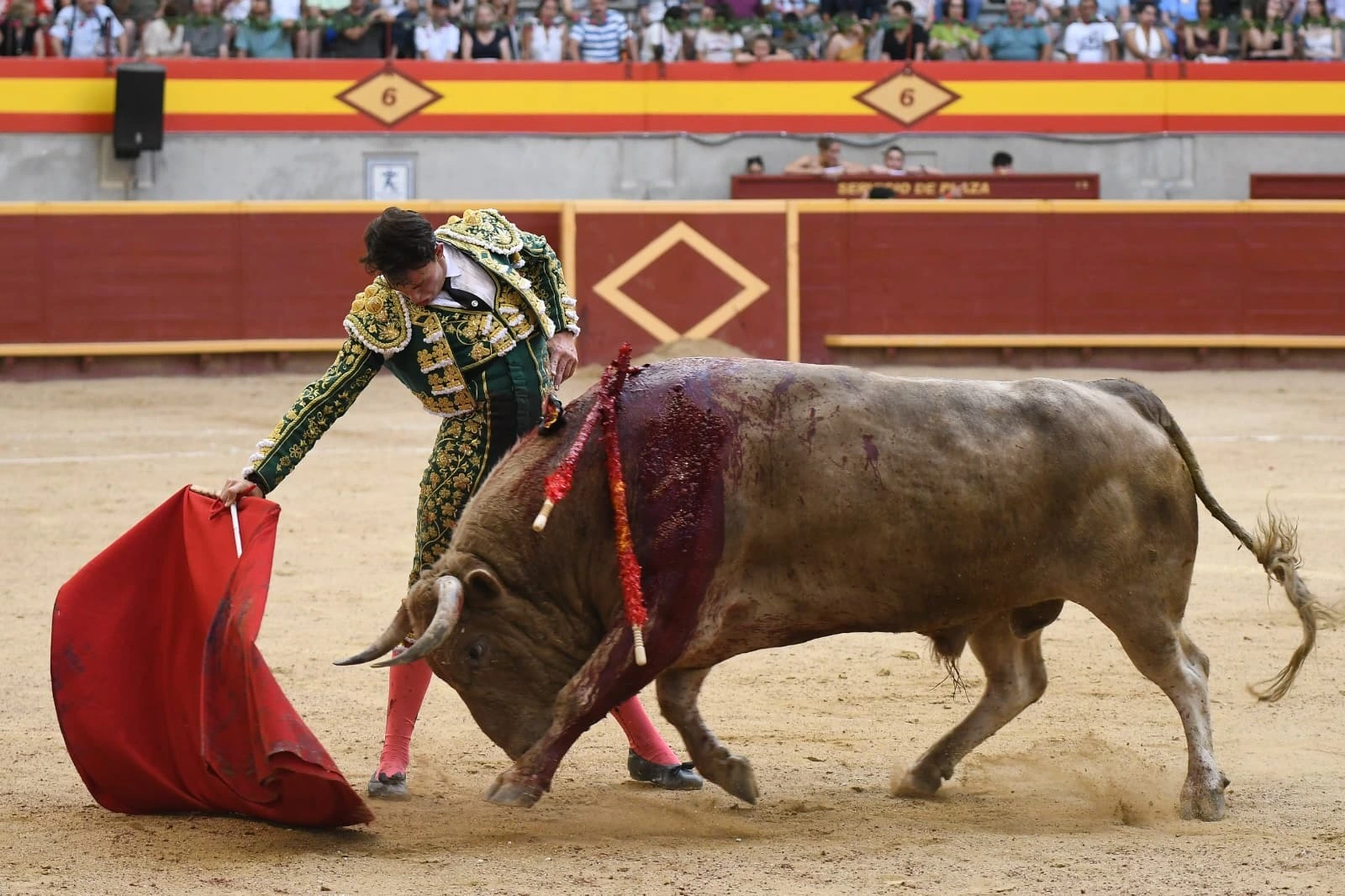 Imagen 11