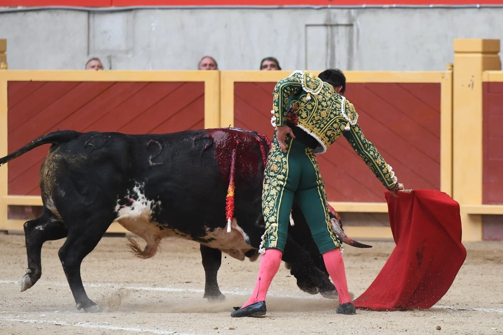 Imagen 12