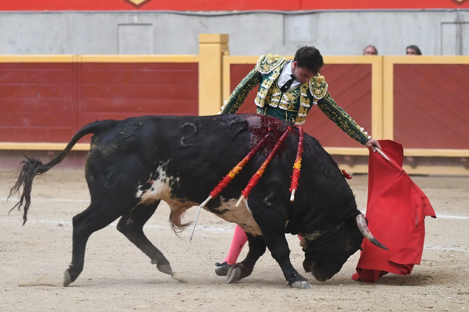 Imagen 14
