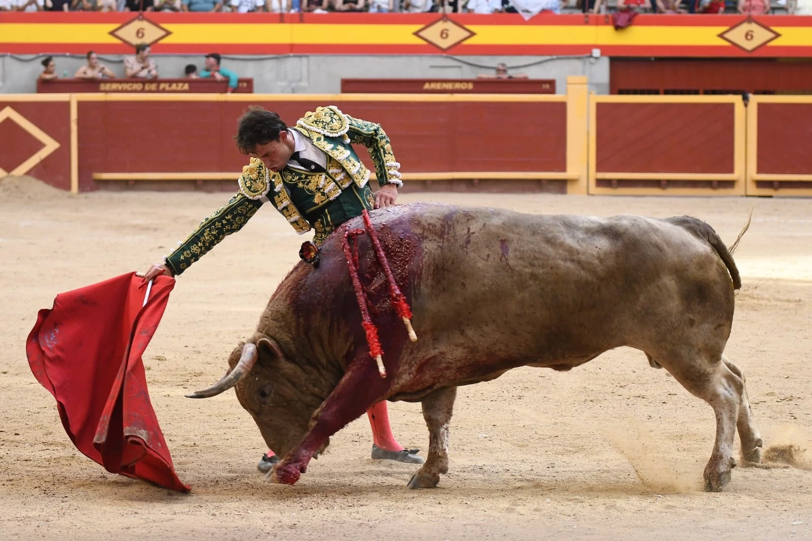 Imagen 16
