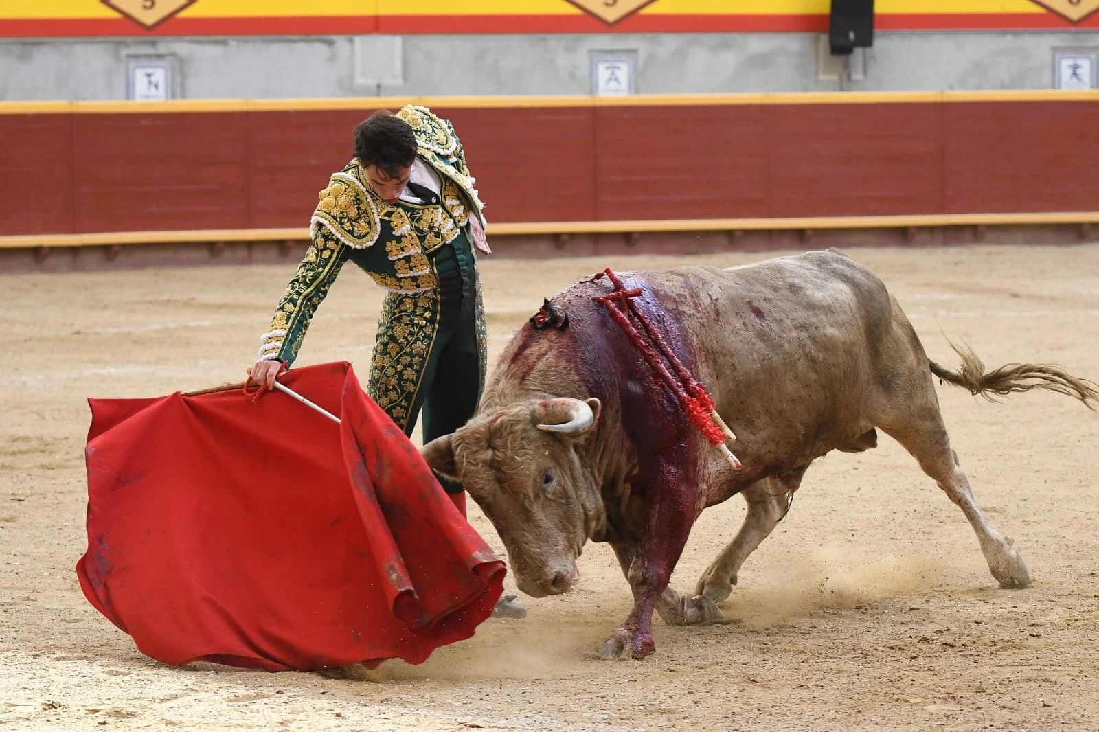 Imagen 17