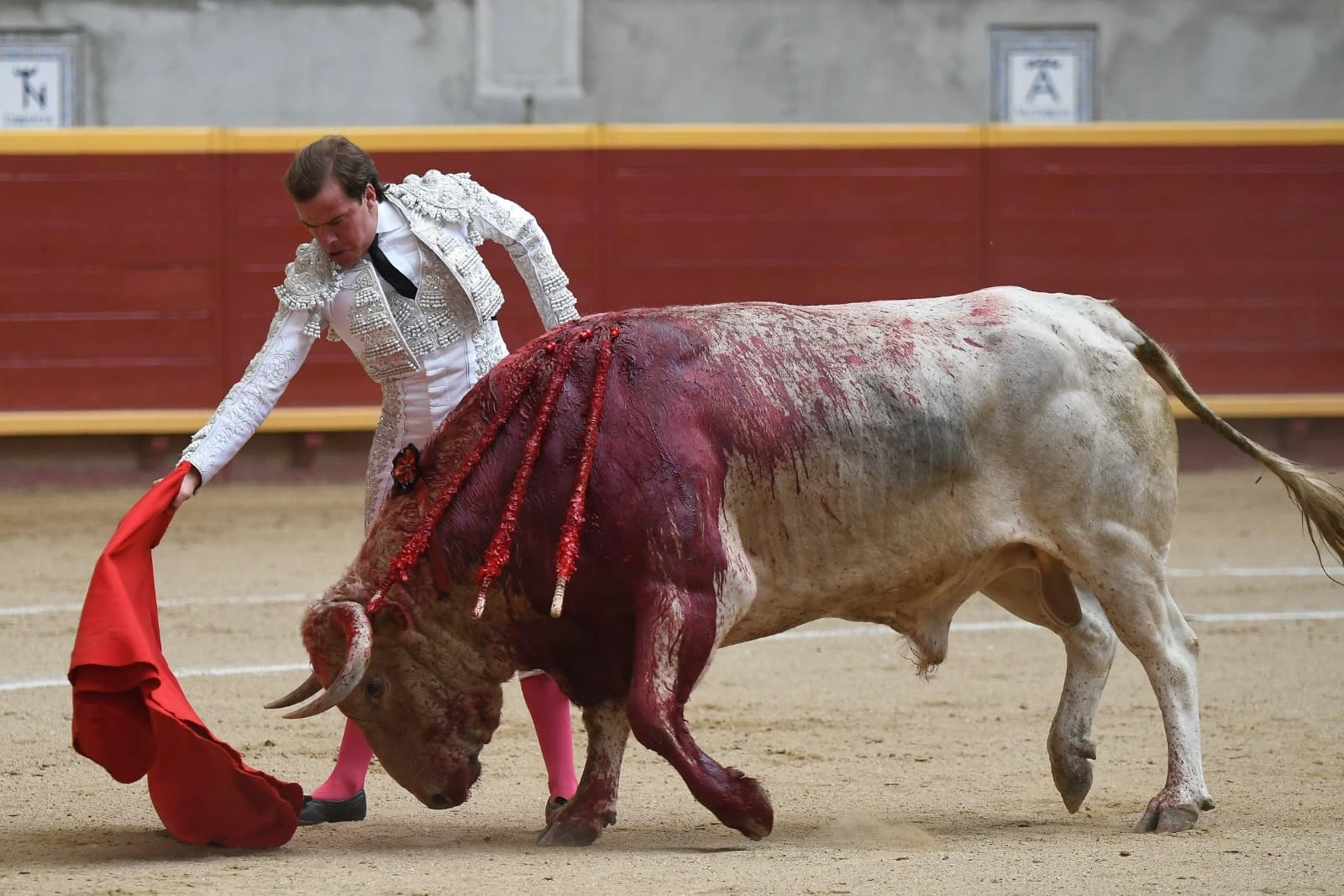 Imagen 19
