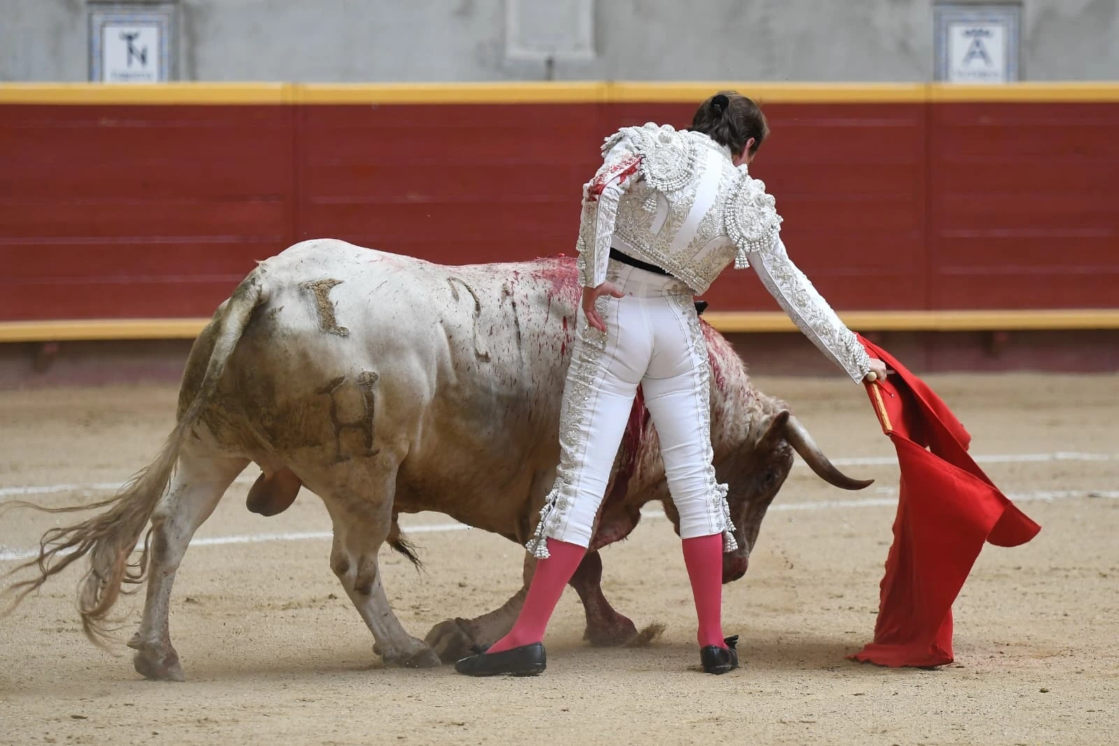 Imagen 20