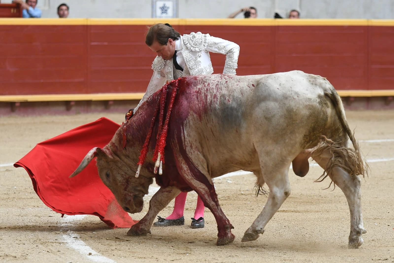 Imagen 21