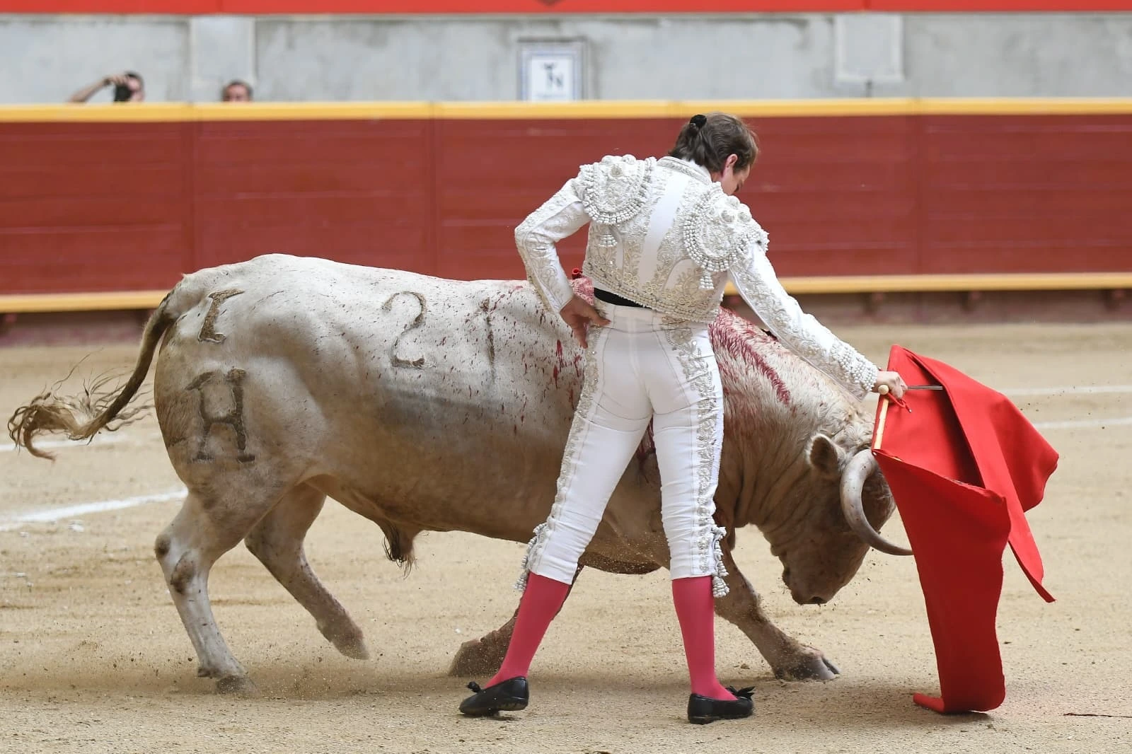 Imagen 22