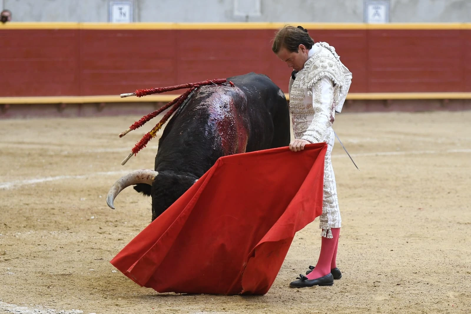Imagen 23