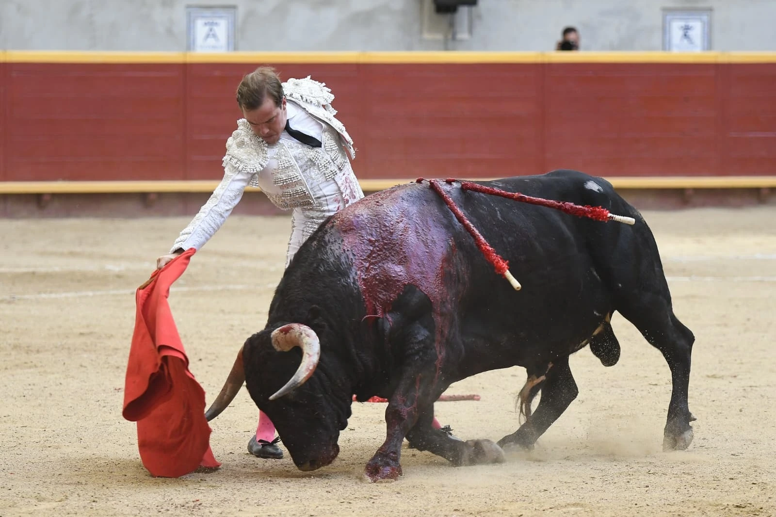 Imagen 25