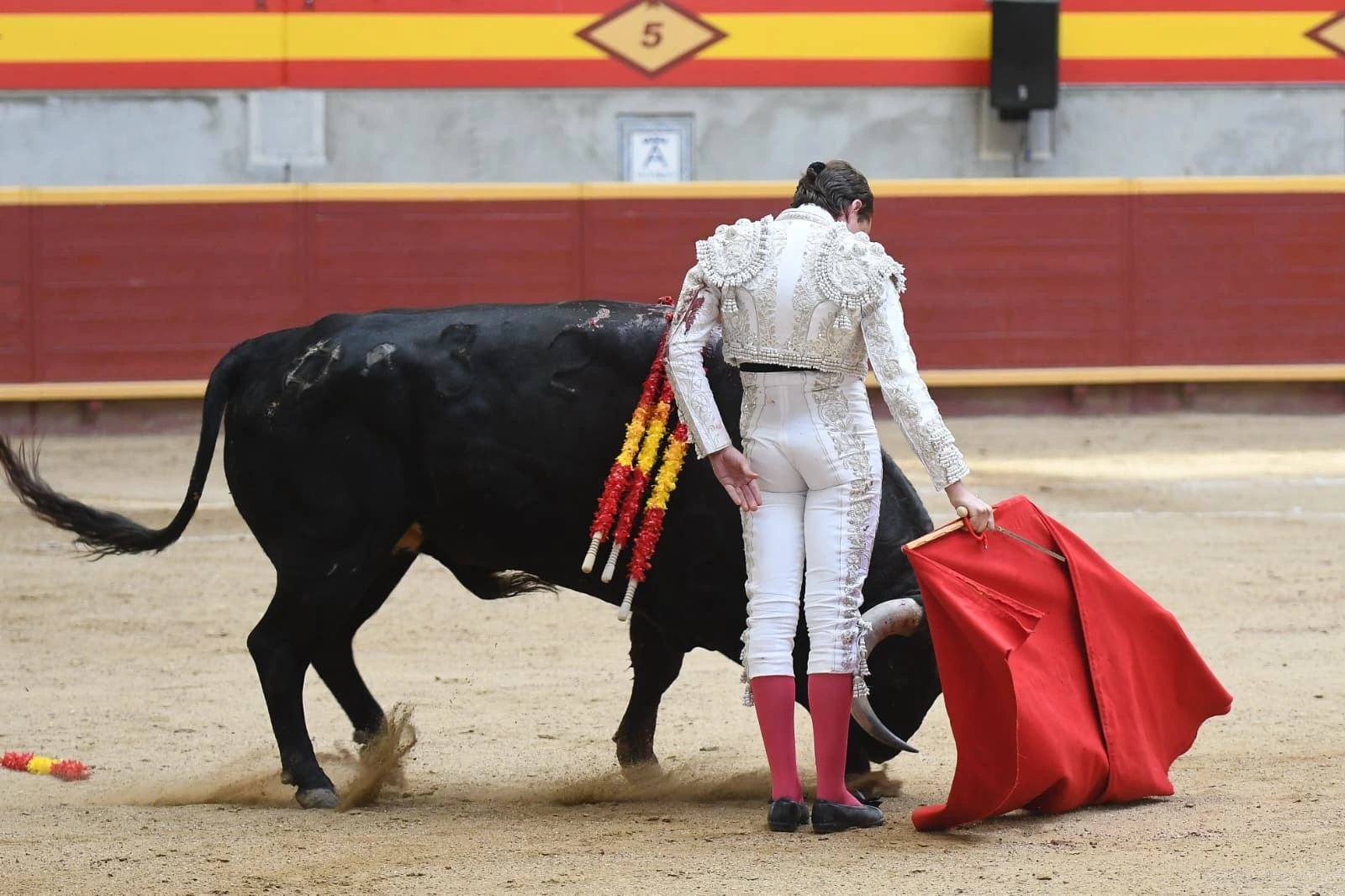 Imagen 26
