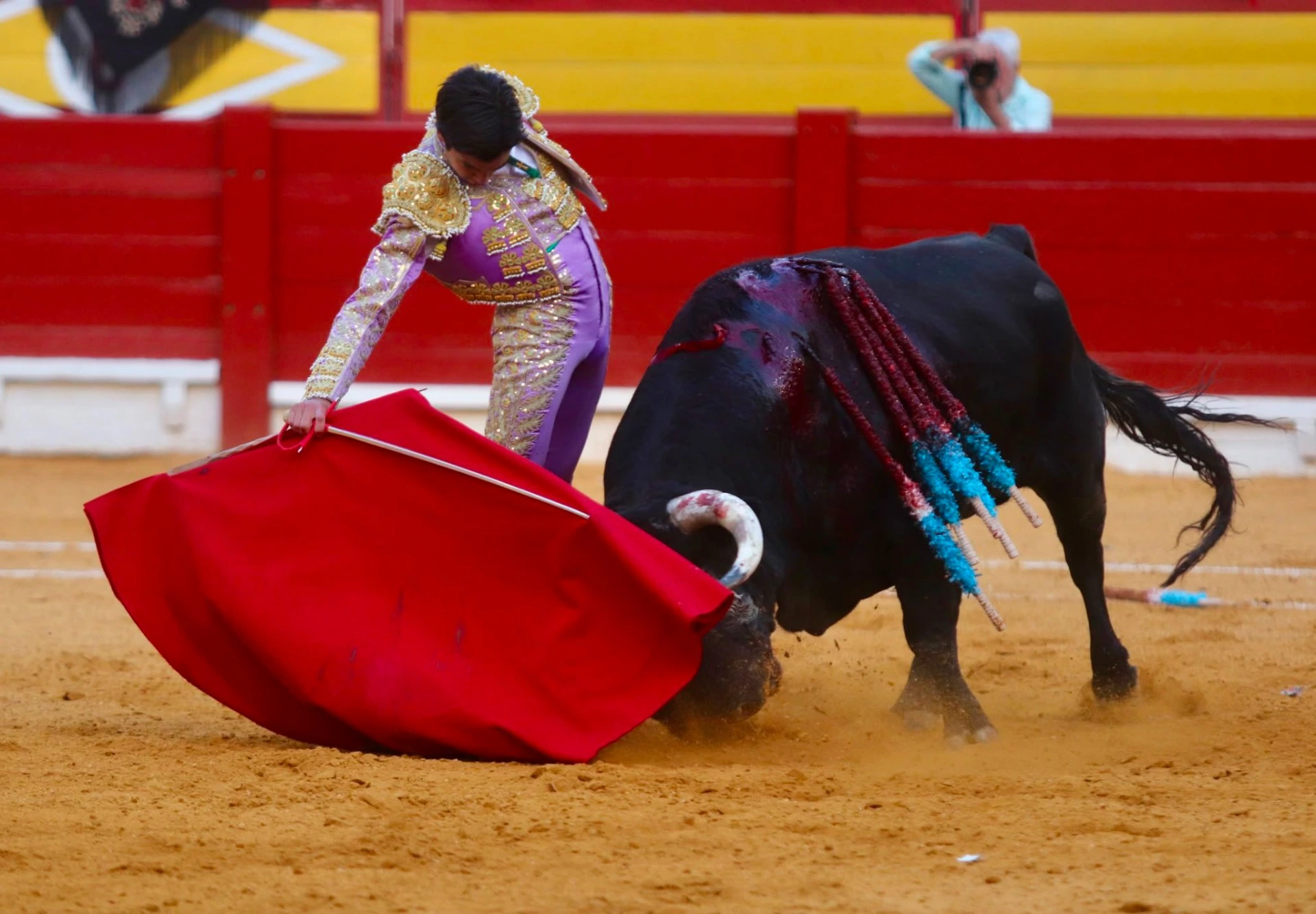 Imagen 1