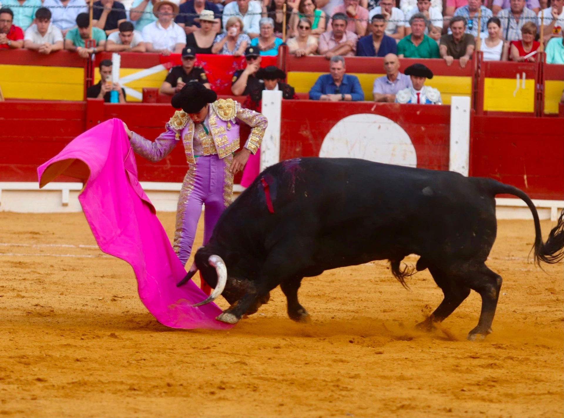 Imagen 2