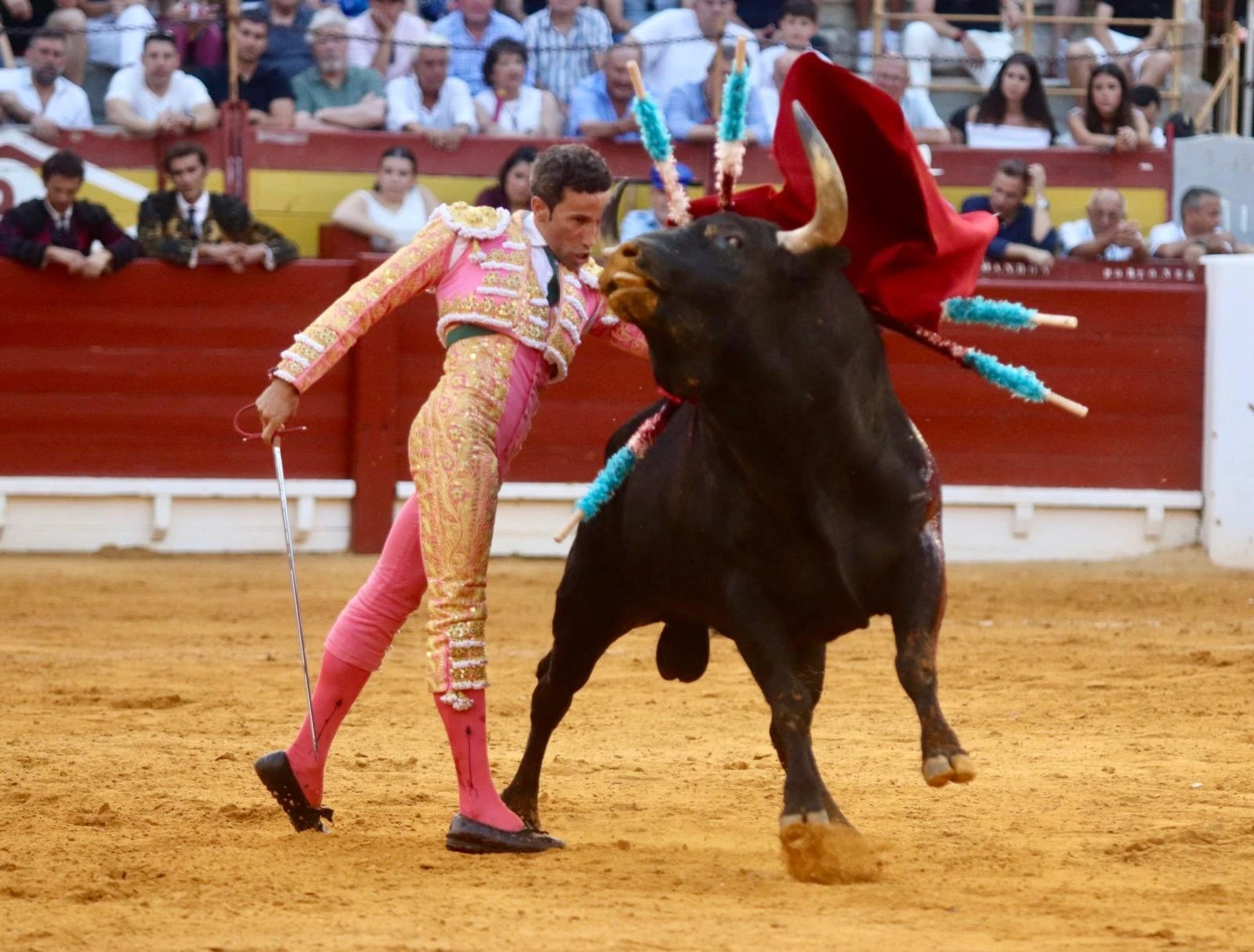 Imagen 3