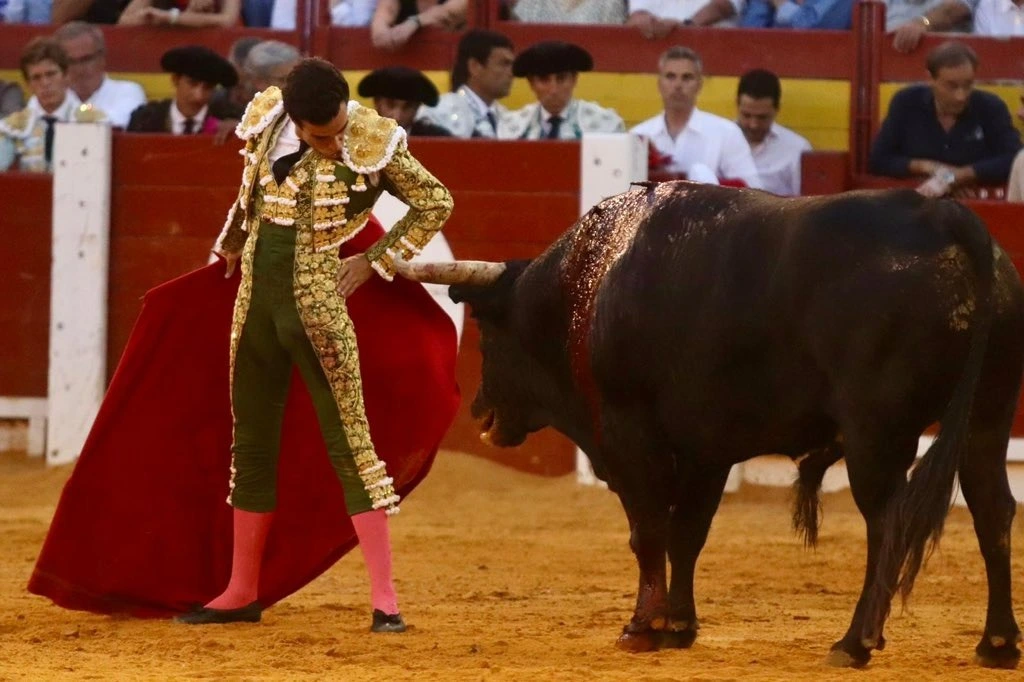 Imagen 6