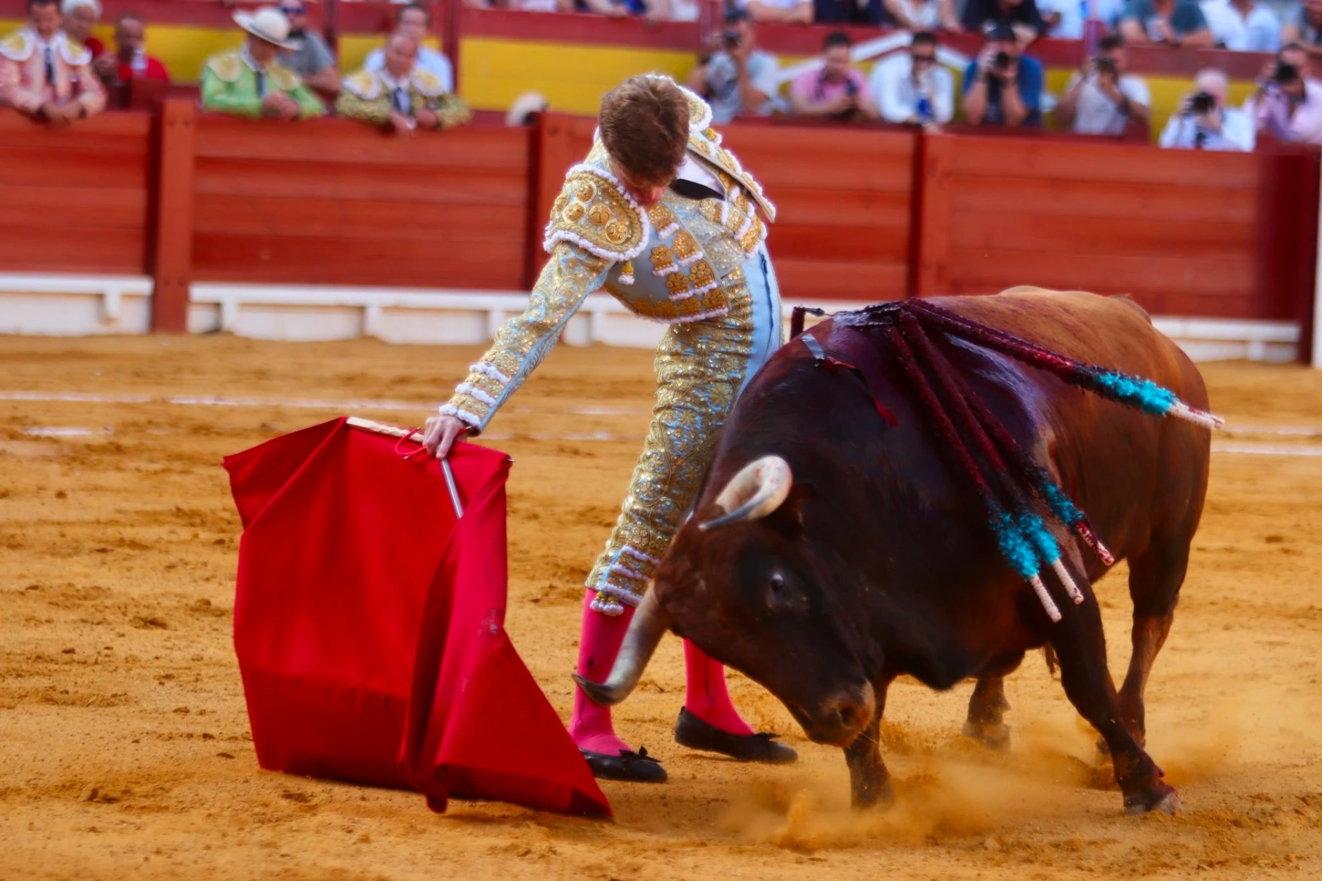 Imagen 3