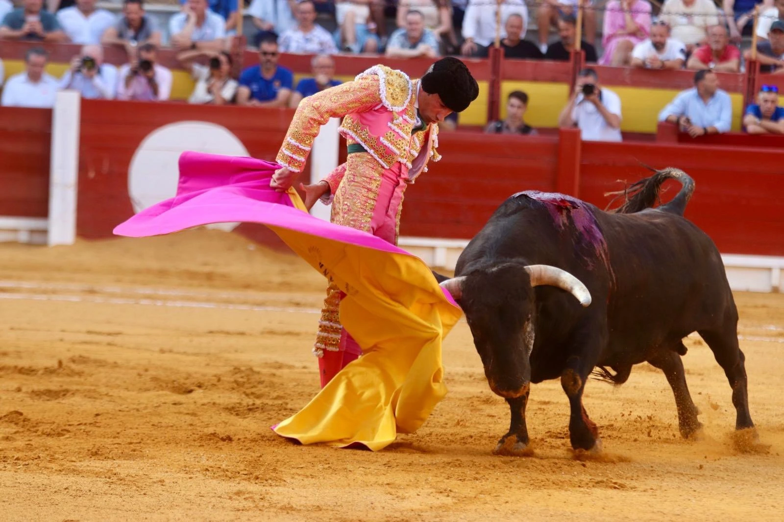 Imagen 1