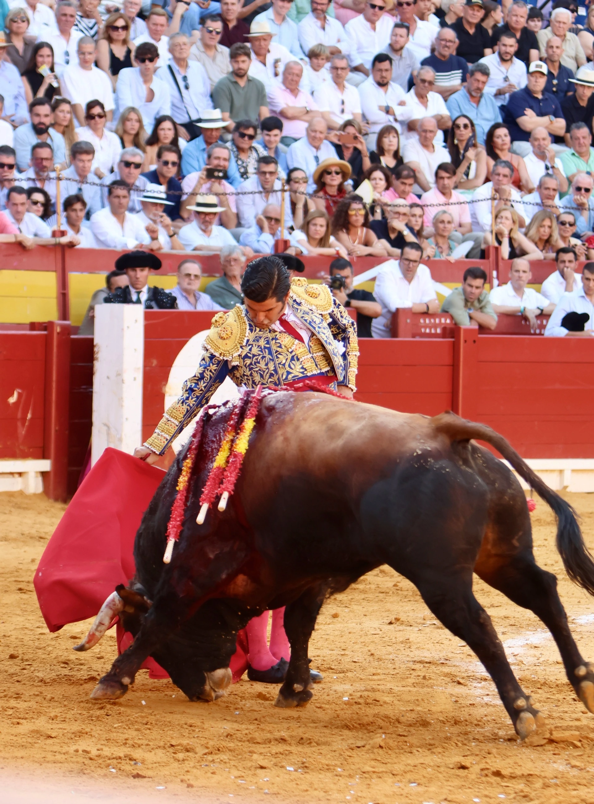 Imagen 1