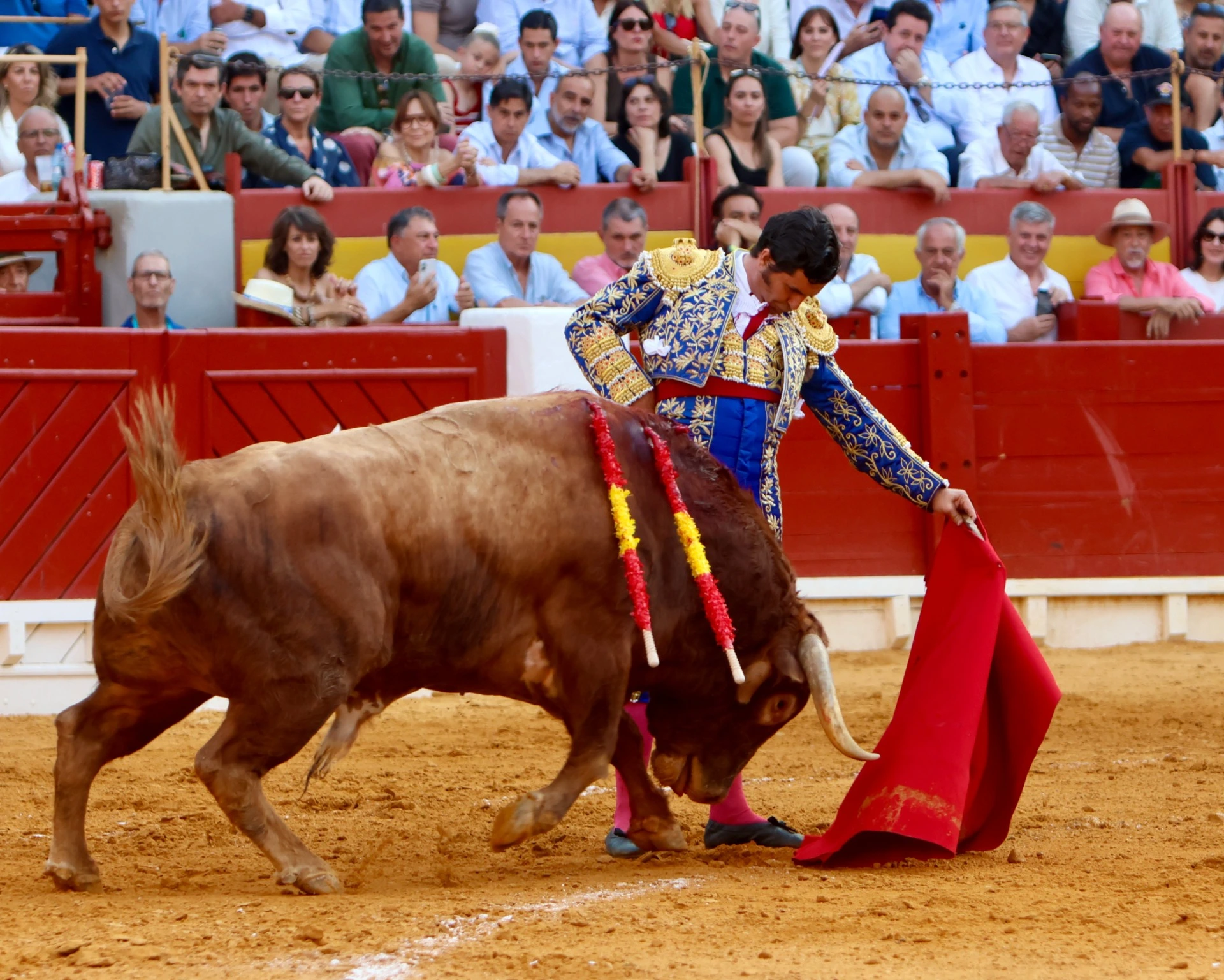 Imagen 3