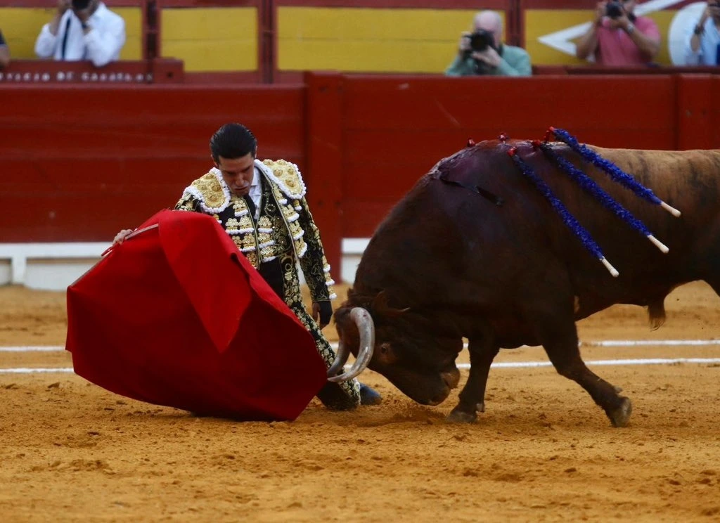 Imagen 2
