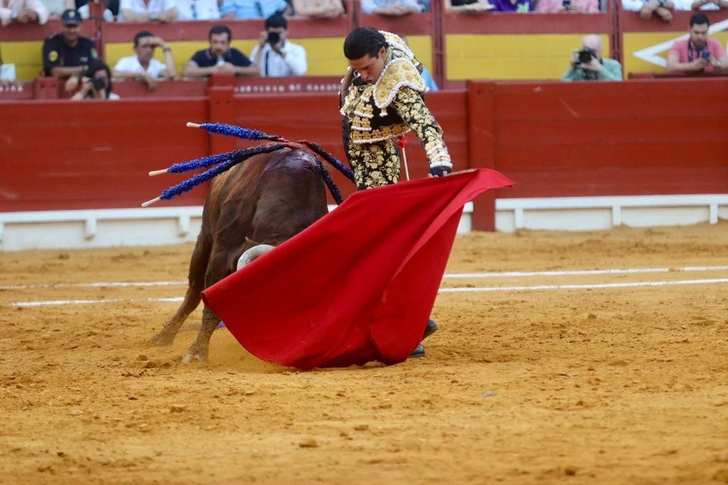 Imagen 3