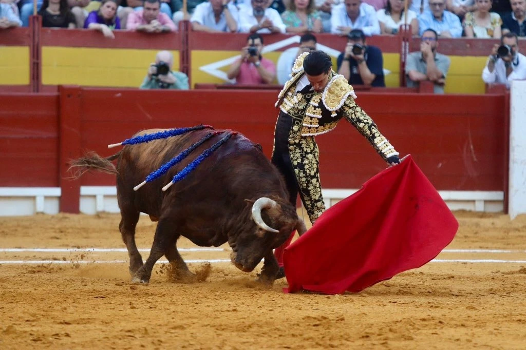 Imagen 4
