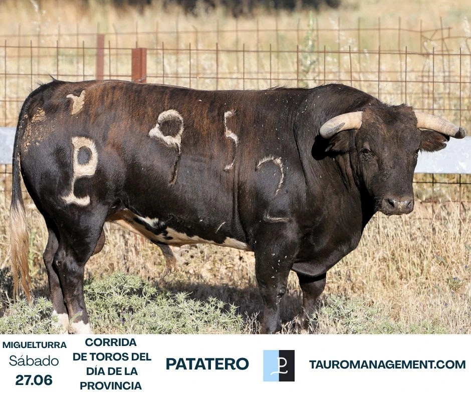 Imagen 5