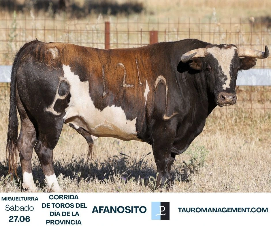 Imagen 6