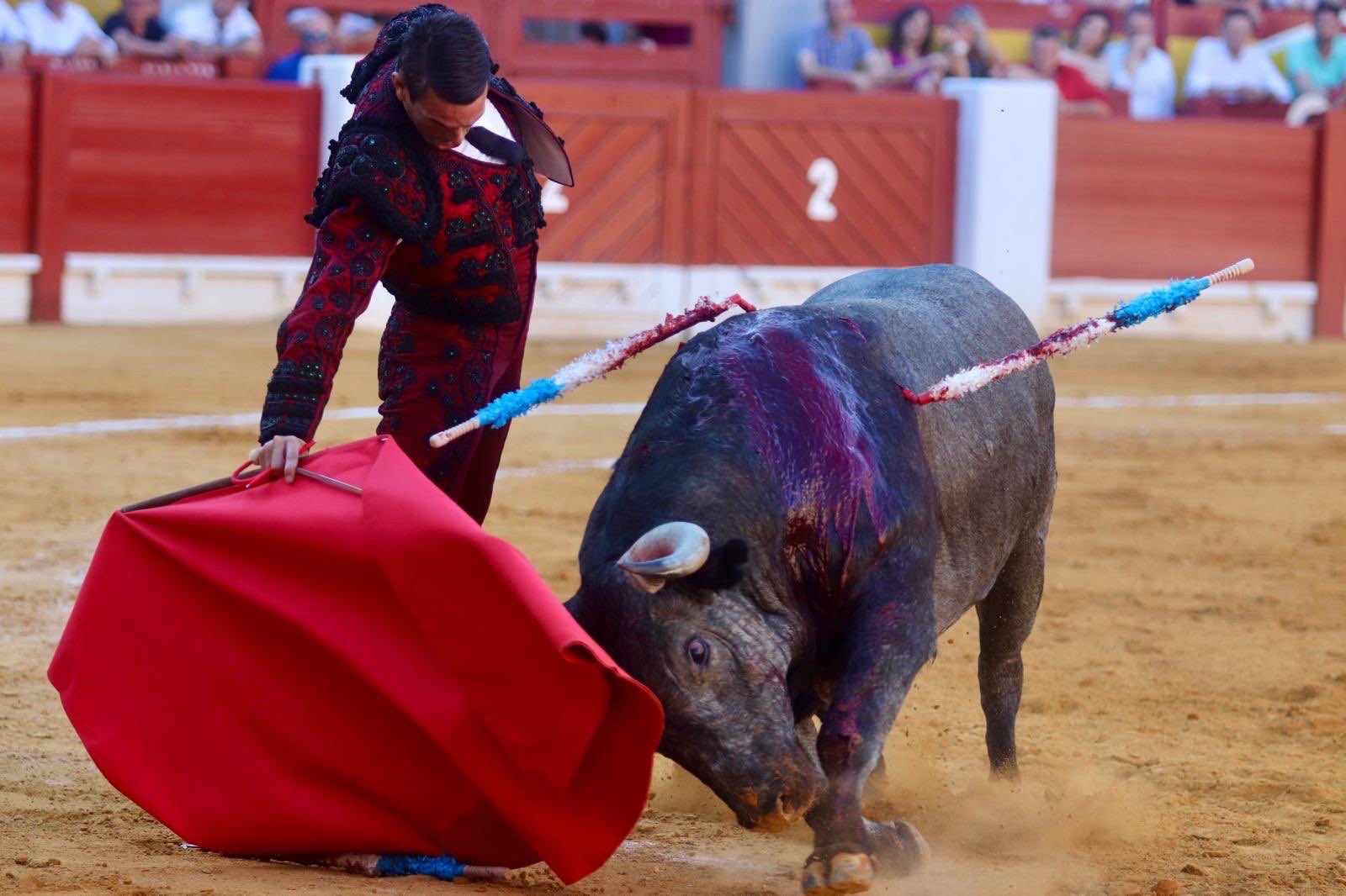 Imagen 1