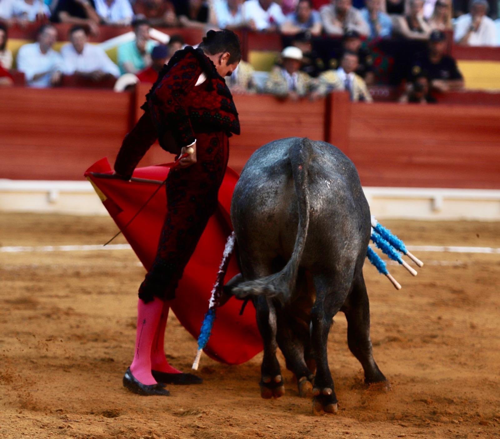Imagen 2