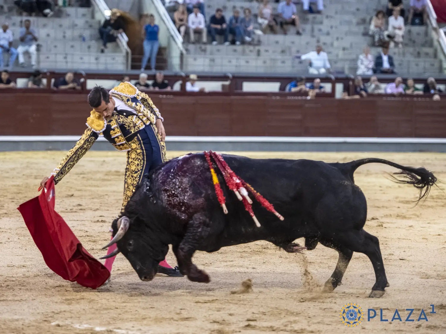 Imagen 2