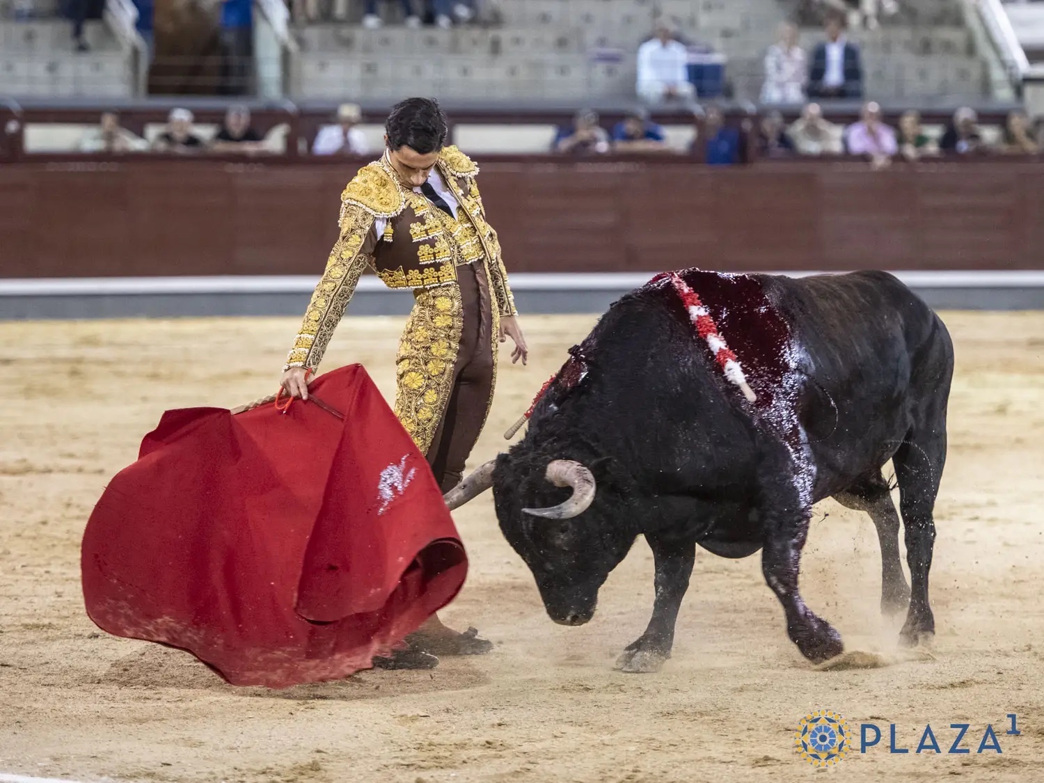 Imagen 3