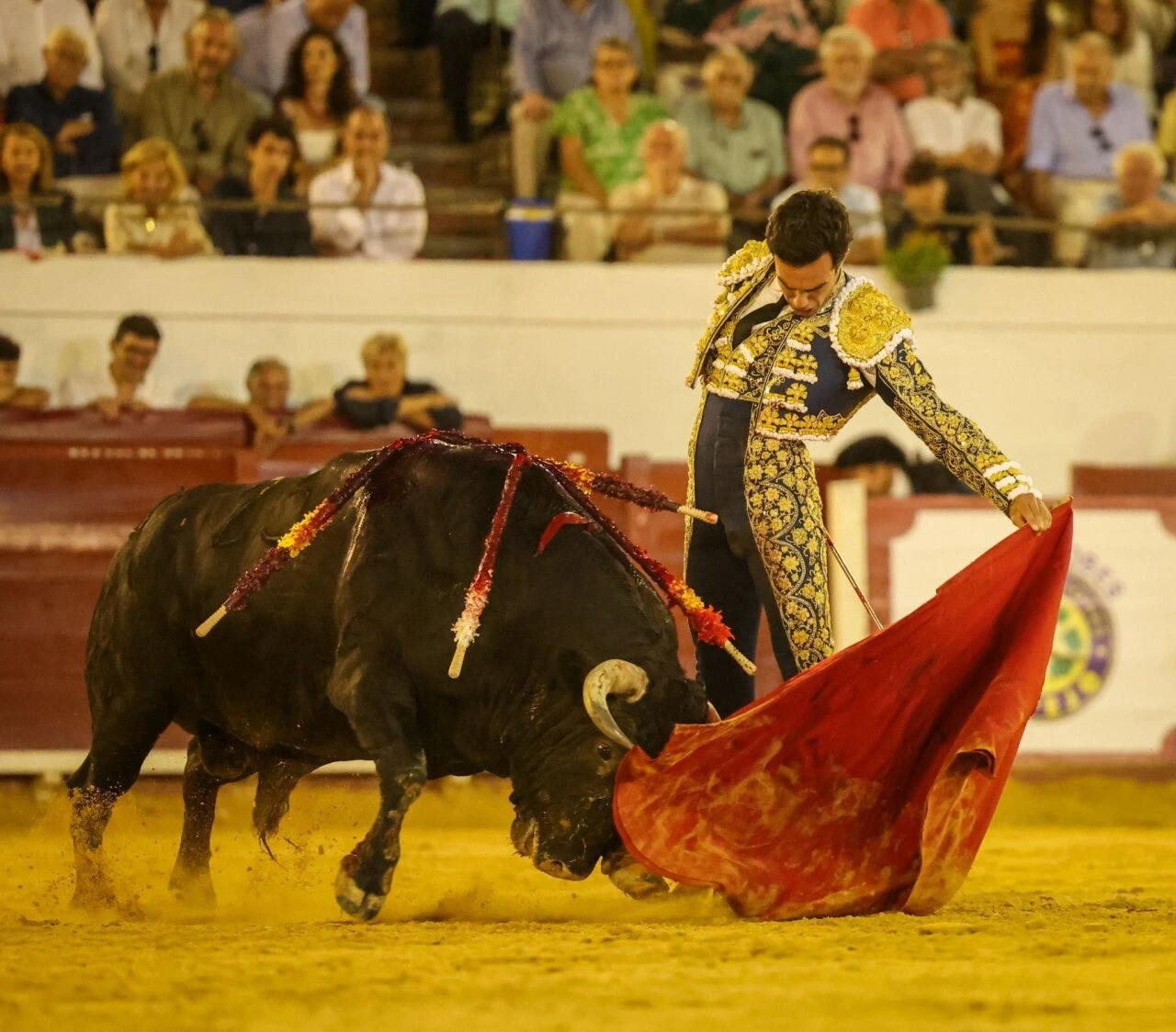 Imagen 2