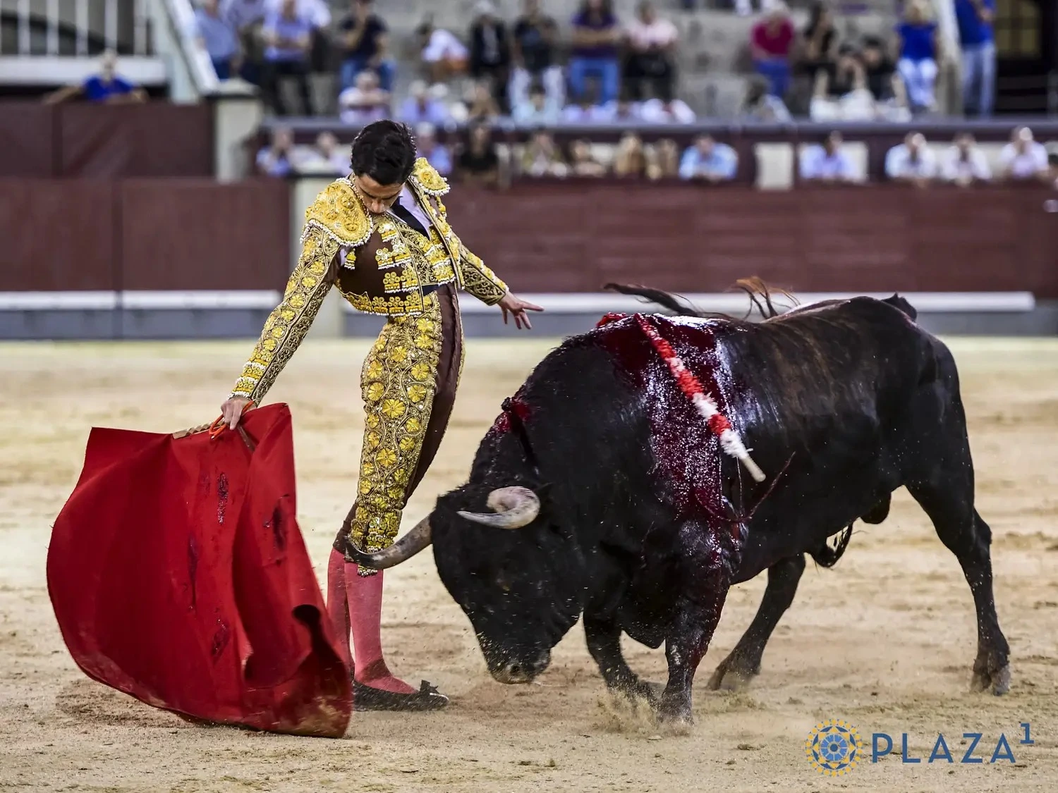 Imagen 1