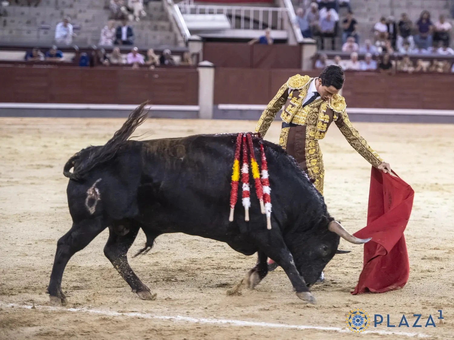 Imagen 2