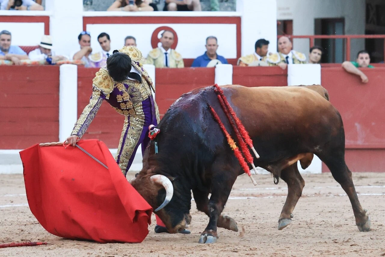 Imagen 3