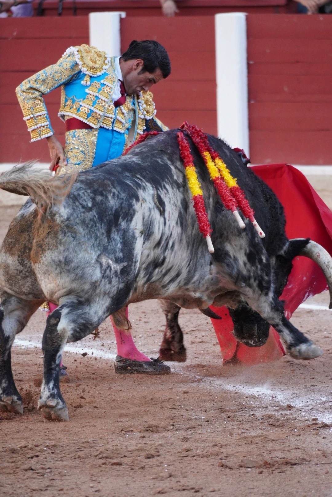 Imagen 5