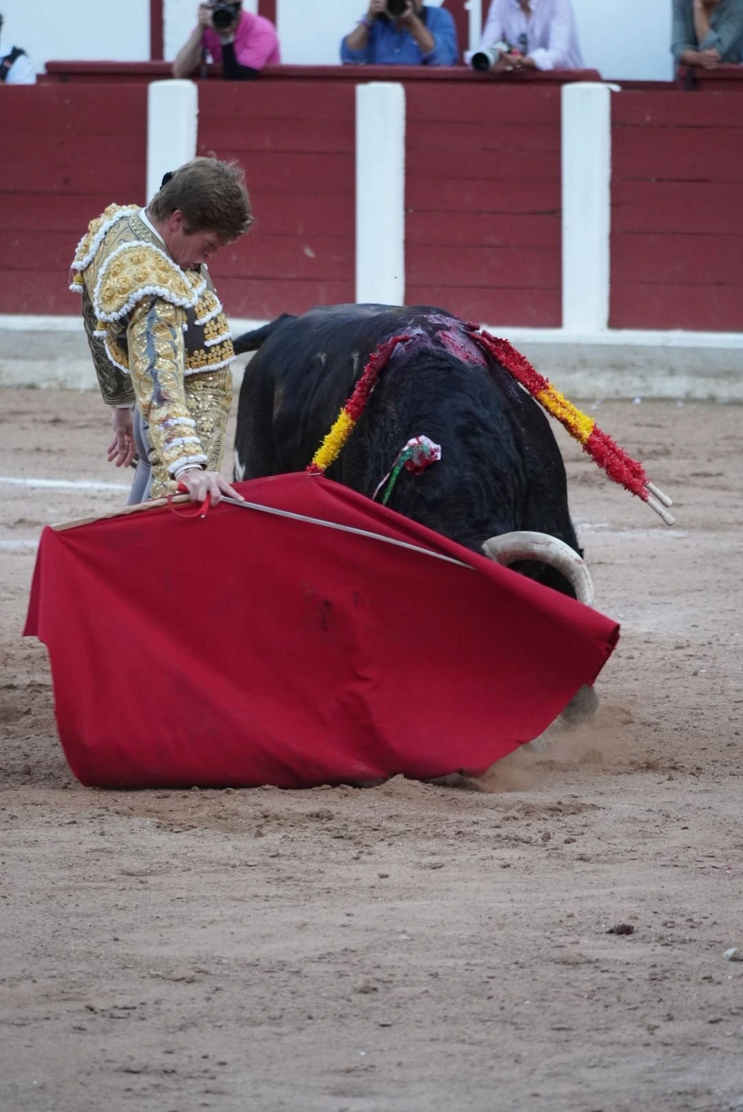 Imagen 9
