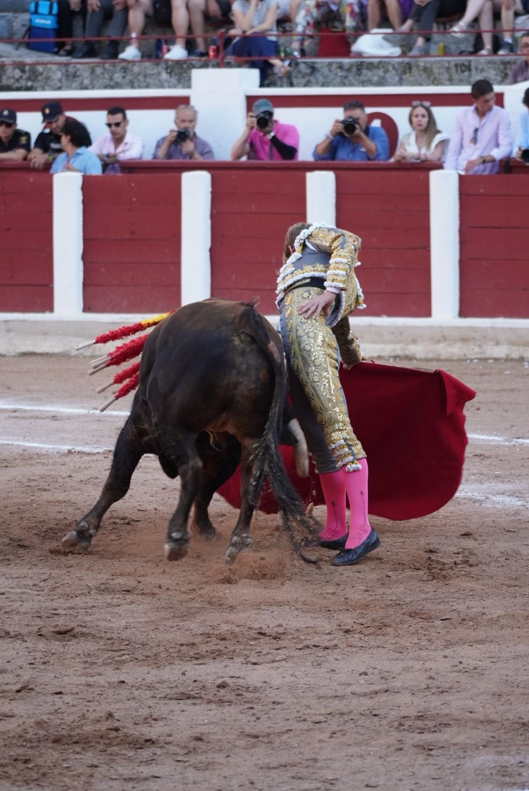 Imagen 10