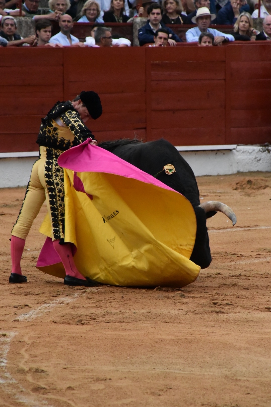 Imagen 2