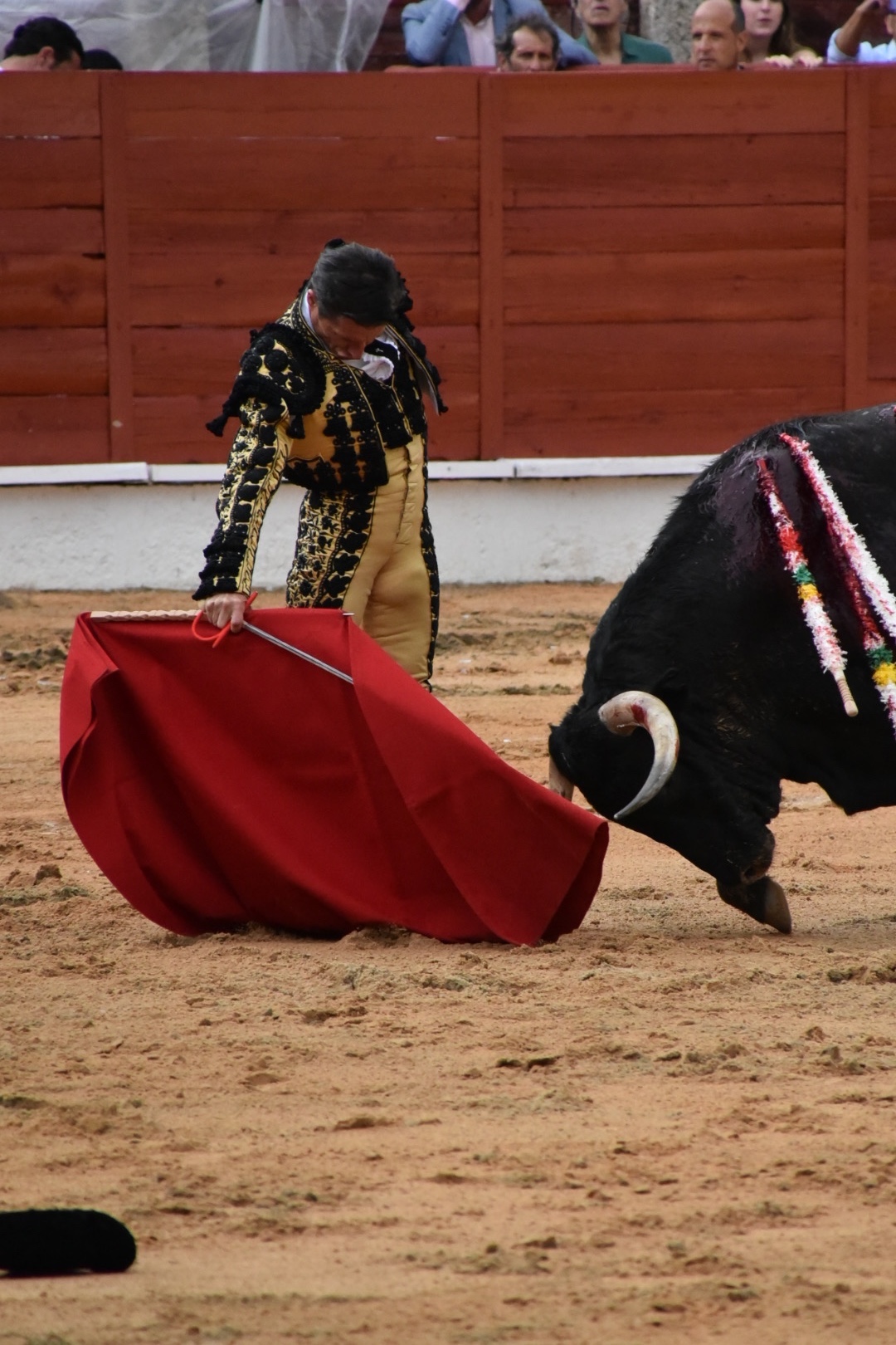 Imagen 3